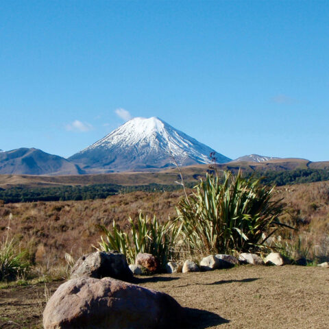 Manawatu, New Zealand | Friendship Force